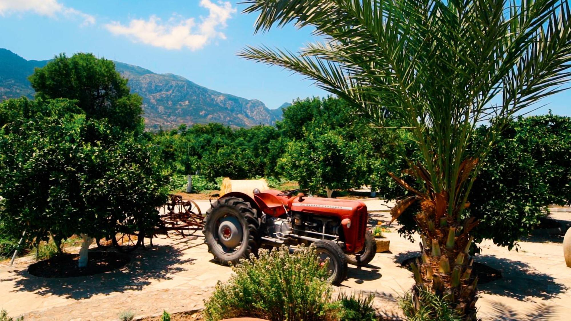 Almond Holiday Village Kyrenia  Extérieur photo